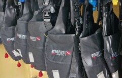 Onze trimvesten (BCDs)
