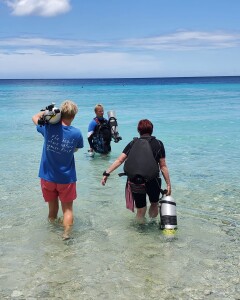 Sidemount 4