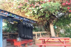 Wetsuits in all 9 sizes